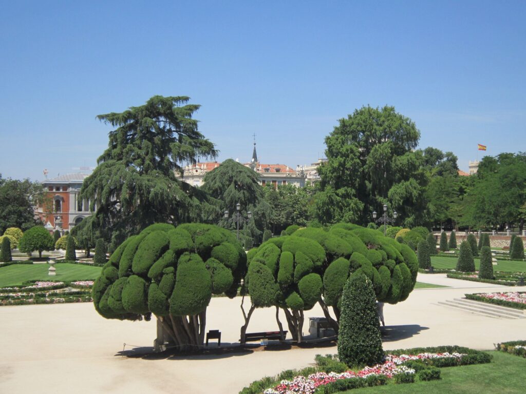 contratar un mantenimiento periódico del jardín
